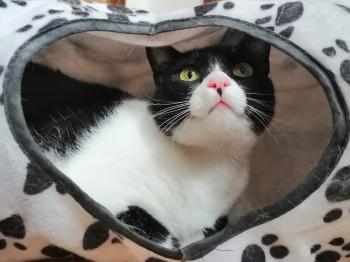 Magui Bild von Magui