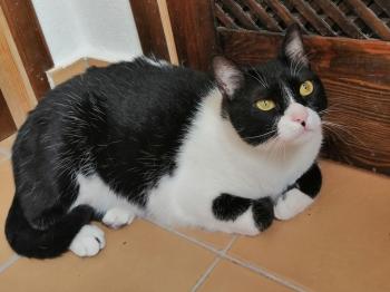 Magui Bild von Magui