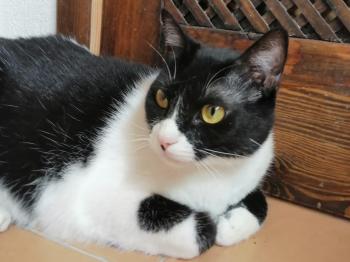 Magui Bild von Magui