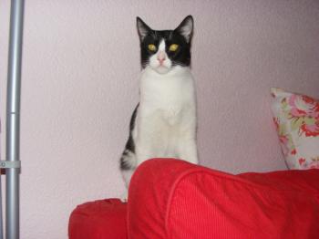 Andy Bild von Andy