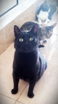 Kiano Bild von Kiano