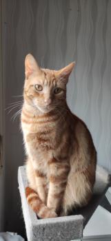 Kiko Bild von Kiko