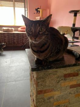 Lazlo Bild von Lazlo