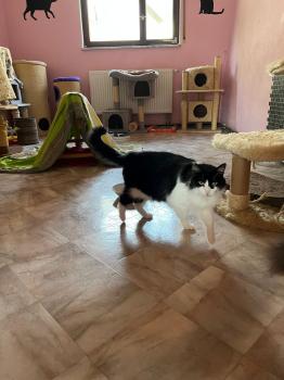 Layla Bild von Layla