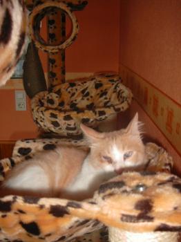 Lucky Bild von Baby
