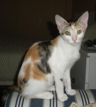 Mary Bild von Mary