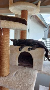 Lola Bild von Lola
