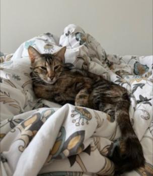 Elanor Bild von Elanor