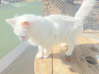 Winnie Bild von Winnie