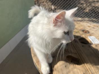 Winnie Bild von Winnie