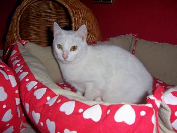 Sophia Bild von Sophia