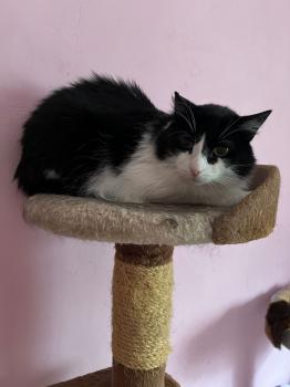 Layla Bild von Layla