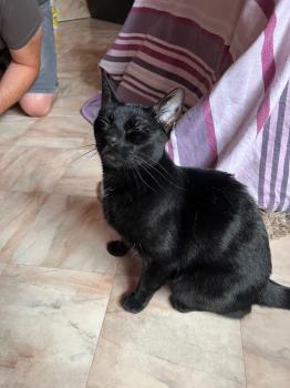 Felisa Bild von Felisa