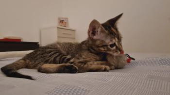 Yuno Bild von Yuno
