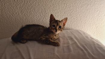 Yuno Bild von Yuno