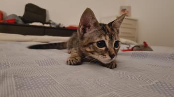 Yuno Bild von Yuno