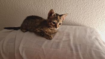 Yuno Bild von Yuno