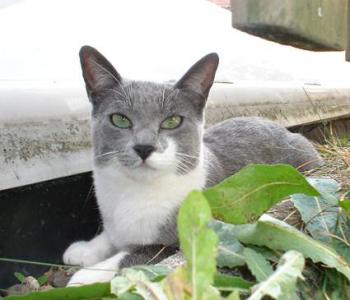 Daisy Bild von Daisy