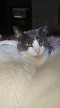 Bild von Vivi