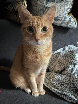 Bild von Tuna