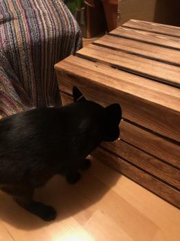 Morty Bild von Morty