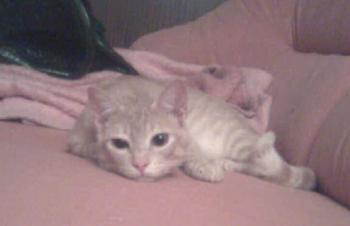 Terry Bild von Terry