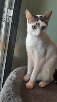 Porthos Bild von Porthos