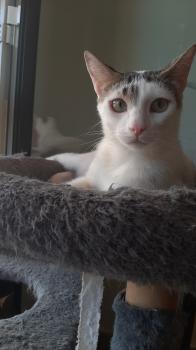 Porthos Bild von Porthos