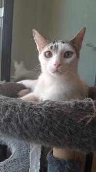 Porthos Bild von Porthos