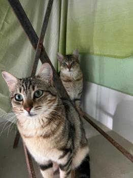 Lulú Bild von Lulú