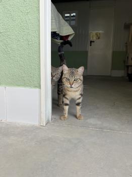 Lulú Bild von Lulú