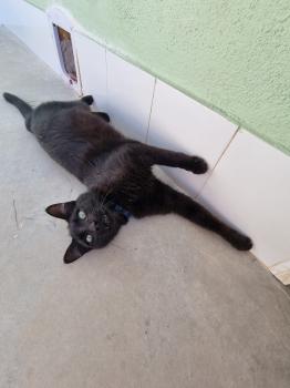 Tobías Bild von Tobías