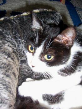 Milly Bild von Milly