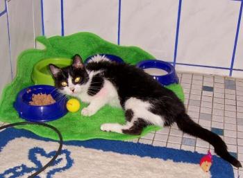 Milly Bild von Milly