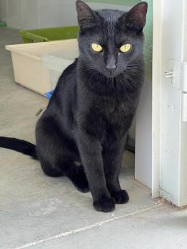 Bonnie Bild von Bonnie