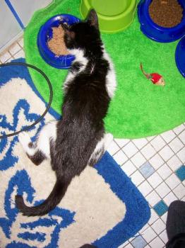 Milly Bild von Milly