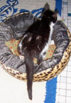 Milly Bild von Milly