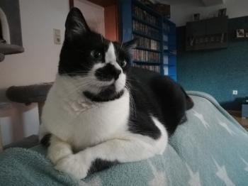 Naana Bild von Naana