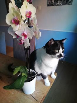 Naana Bild von Naana