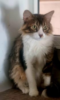Aslaug Bild von Aslaug
