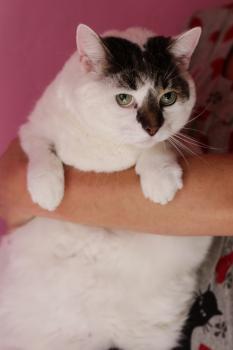 Ruffy Bild von Ruffy