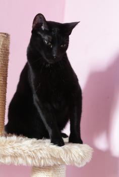 Felisa Bild von Felisa