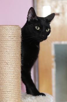 Felisa Bild von Felisa