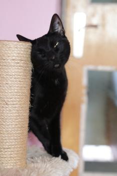 Felisa Bild von Felisa