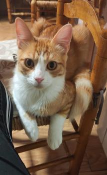Tazz Bild von Tazz