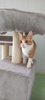 Tazz Bild von Tazz