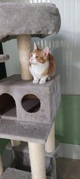 Tazz Bild von Tazz