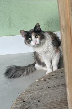 Ida Bild von Ida