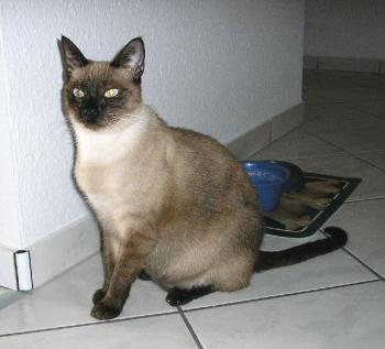Maja Bild von Maja