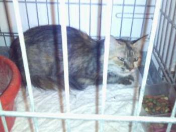 Cloe Bild von Cloe